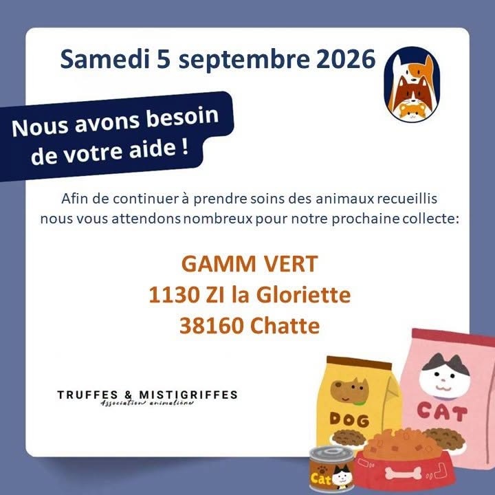 COLLECTE GAMM VERT CHATTE